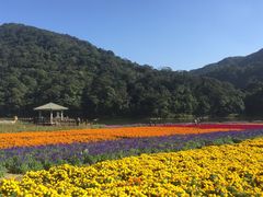 -广州市石门国家森林公园