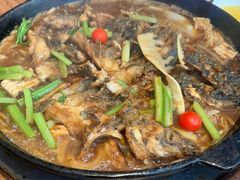 -老板恋上鱼(恒隆广场店)