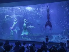 -多彩贵州城极地海洋世界