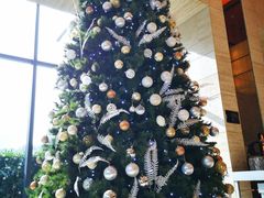 -上海龙之梦万丽酒店