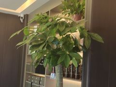 -鹿栖.精油SPA(金山世纪城店)