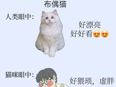 -莘程宠物医院(金山店)
