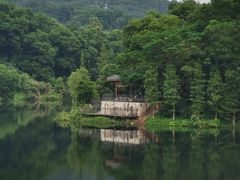 -红花湖景区