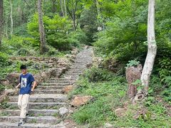 -潜山国家森林公园