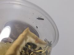 -河州春清真西北特色美食(虎踞路店)
