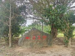 -沙美村
