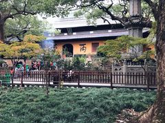 -普陀山风景名胜区-法雨禅寺