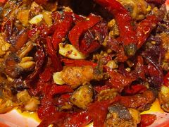 -柴窝堡22号辣子鸡·传承新疆菜