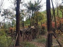 -川匠·睡眠采耳·SPA(九眼桥店)