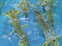 -达叔香味海鲜(海棠68环球美食街店)