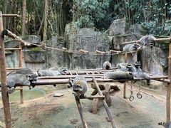 -杭州野生动物世界