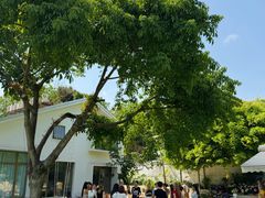 -柠檬花院烤肉·会议团建·聚会·求婚(三圣乡店)