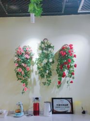 -变美丽半永久纹眉连锁·机器野生眉•洗眉