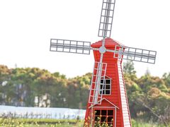 -美家乐农庄·露营·团建(大治路店)