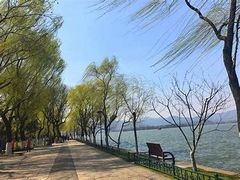 -柳浪闻莺公园