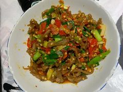 鸭掌筋-壹盏灯(惠农店)