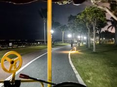-野狸岛