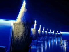 -月坨岛华清月府温泉酒店