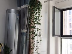 -李村大集