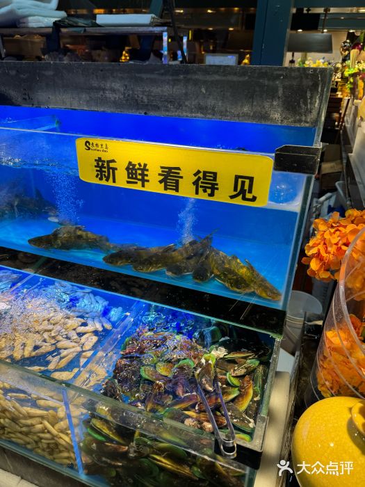 苏格里岛自助海鲜烤肉(青秀万达店)图片