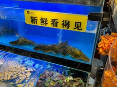 -苏格里岛自助海鲜烤肉(青秀万达店)
