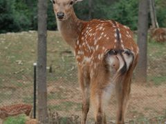 -云南野生动物园