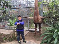 -呀路古热带植物园