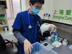 -爱侣宠医·鹦鹉专科·小型哺乳类·异宠专科(灵石路店)