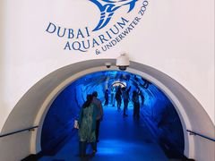 -迪拜水族馆及水下动物园