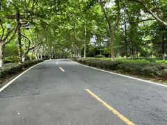 -宜兴龙背山森林公园