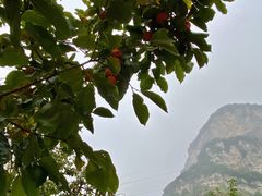 -云丘山景区