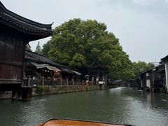 -乌镇东栅景区
