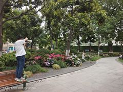 -常州古运河南大街文化旅游区-人民公园