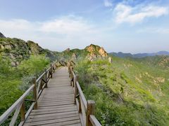 -大岭沟猕猴桃谷风景区