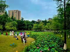 -沐仙湖湿地公园
