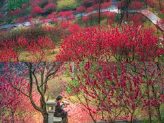 -桃花涧