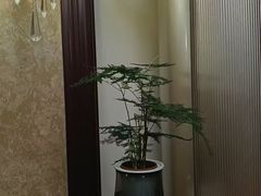 -友谊阳光城
