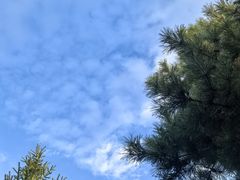 -大连步云山老汤度假山庄