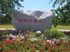 -御林古桑园