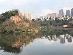 -重庆彩云湖湿地公园
