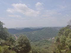 -桃花岭景区