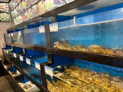 -华盛丰温州大排档(东三环南路店)