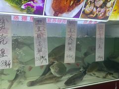 -西江河鲜·趣苑酒楼(鼎湖店)