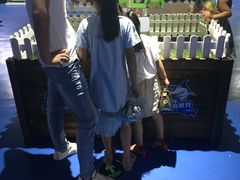 -重庆欢乐海底世界