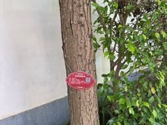 -天悦阁海景酒廊