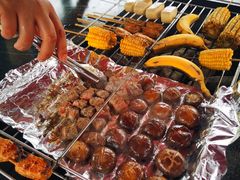 -春花秋色城市公园