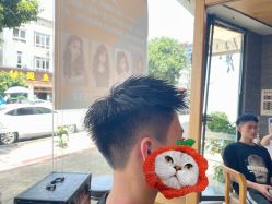 -星格造型·Hair Salon