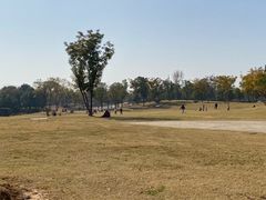 -盘龙城国家考古遗址公园