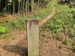 -东明山森林公园