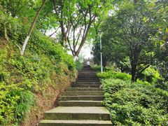 -重庆平顶山公园